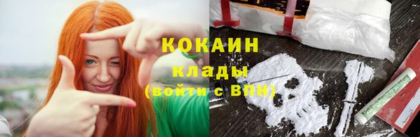 стаф Снежногорск