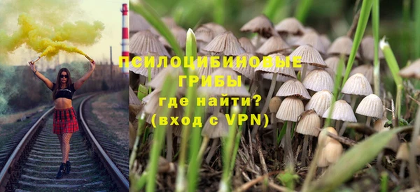 мдпв Сосновка