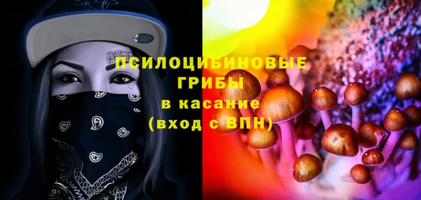 мдпв Сосновка